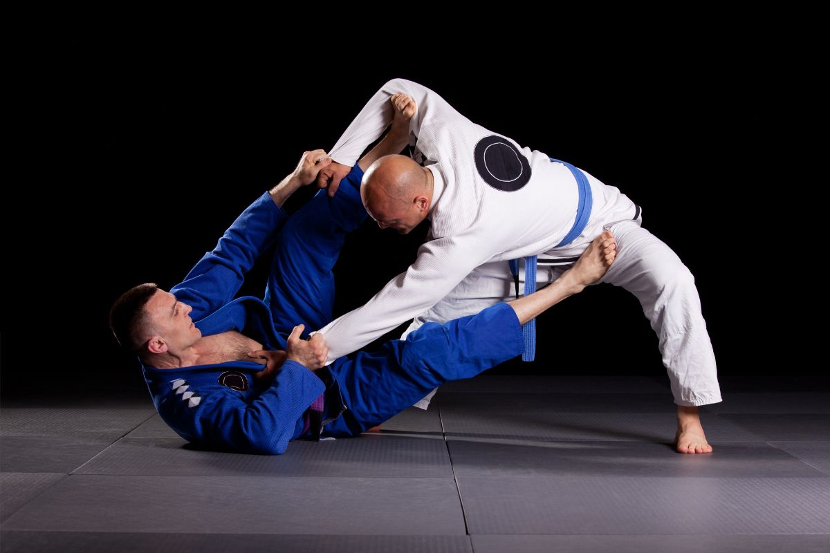 Best Martial Arts For Self-Defense-Brazilian Jiu-Jitsu